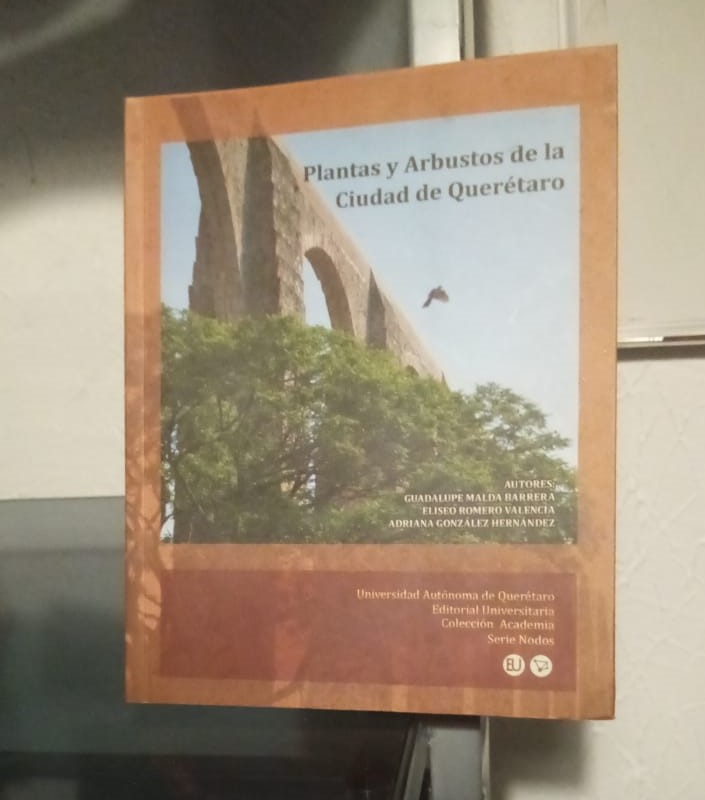 Plantas Y Arbustos De La Ciudad De Querétaro