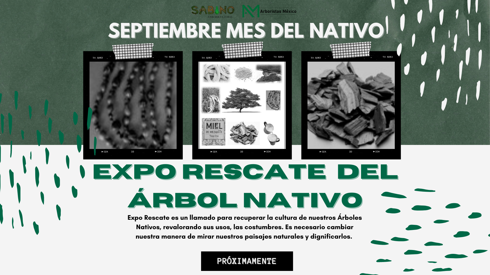 Expo Rescate del Árbol Nativo